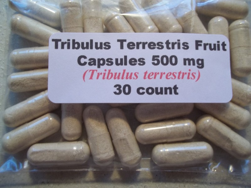 Tribulus Terrestrius Fruit Powder Capsules (Puncture Vine) 500mg. 30 count