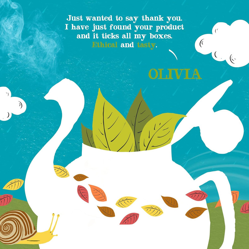 Clipper Tea, Organic Fairtrade Everyday, Organic, USDA Non-Gmo, Fair Trade gallery