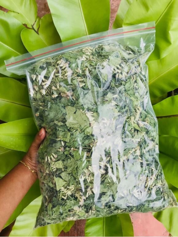 Mexican Dream Herb Calea Zacatechichi | Organic Hand-Picked Leaves for Tea gallery