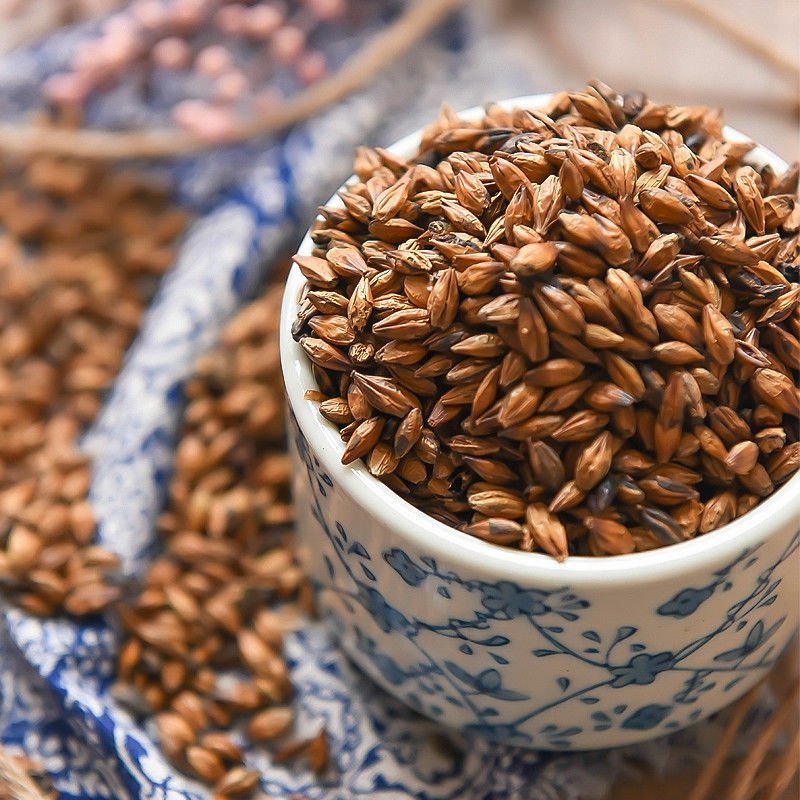 Roasted Barley Tea Caffeine-Free Tea Itoen Japanese Roasted Barley Tea Mugicha gallery