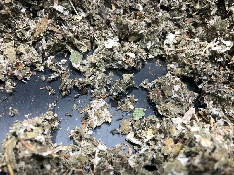 RED RASPBERRY Leaf Herb (1 oz ounce) Organic wild crafted 100% Natural gallery