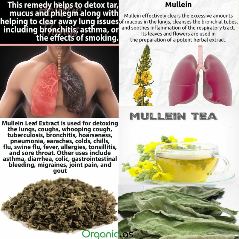 Mullein Leaf & Flower Tea Loose Organic Herb Premium Quality Herbal 25 g - 200 g gallery