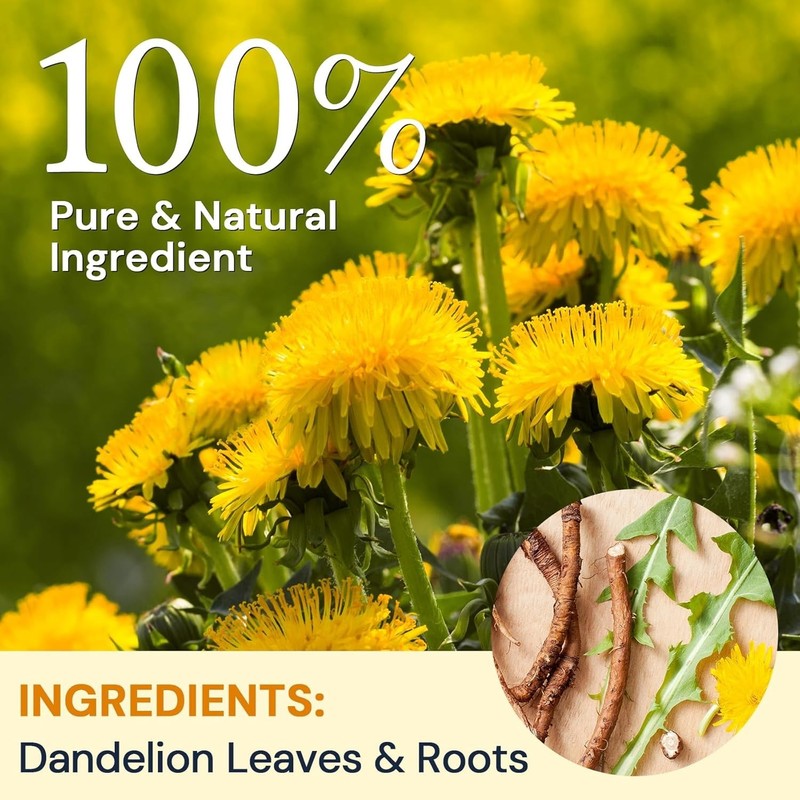 - Dandelion Leaf & Root Tea Bags, 50 Teabags - Natural Dandelion Herbal Tea for gallery