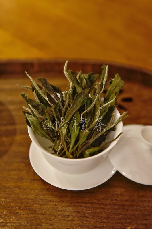 Fuding White Tea, 2023 First Spring Wild Shou Mei, 125g Bagged Chinese White Tea gallery