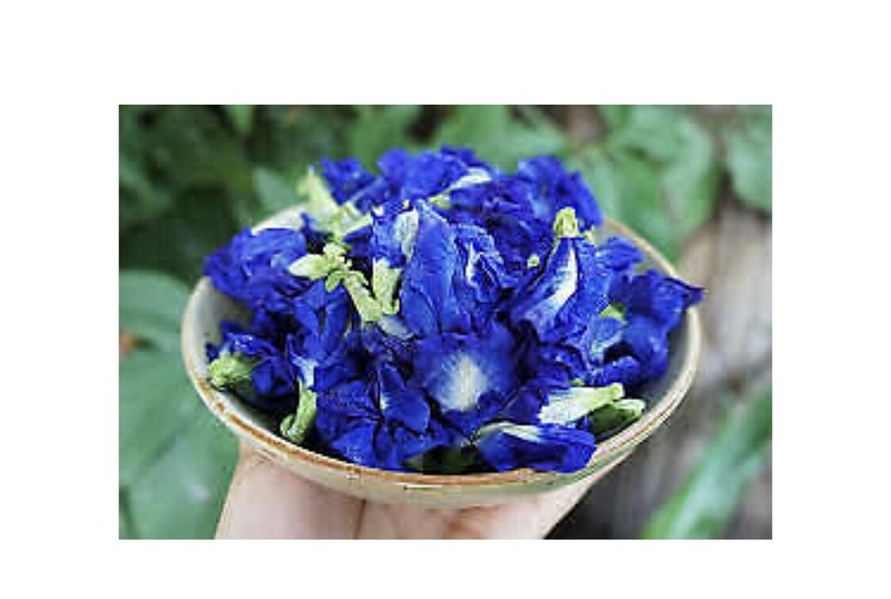 Organic Dried Butterfly Pea Flower Tea – 1OZ (28g) Caffeine Free