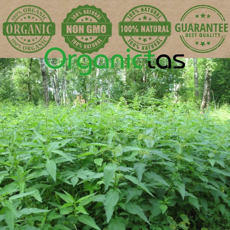 Organic NETTLE LEAF Herbal Tea Dried Cut Urtica Dioica 100g Premium Quality BIO gallery