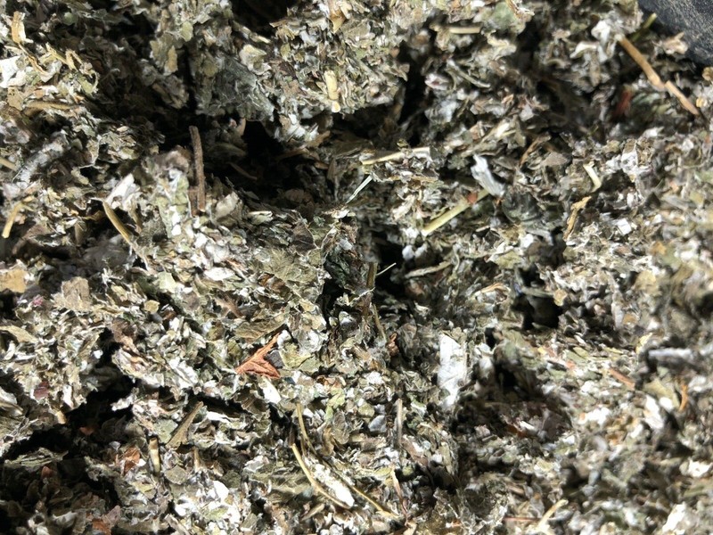 Red Raspberry Wild Crafted Kosher Natural Herbal Leaves Botanical bulk leaf 4 oz gallery