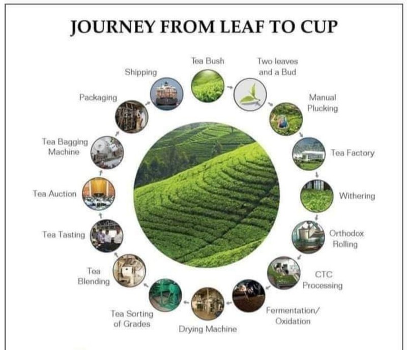 Ceylon Black Tea gallery