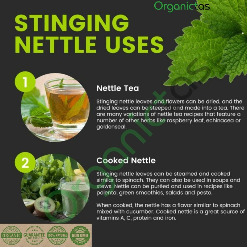 Organic NETTLE LEAF Herbal Tea Dried Cut Urtica Dioica 100g Premium Quality BIO gallery