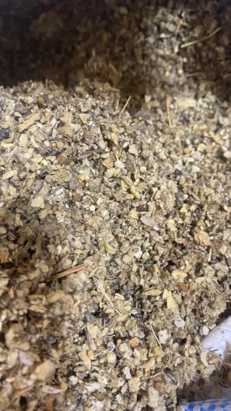 MULLEIN Cut Bulk LUNG Herb USDA Organic Wholesale - oz ounce 1 2 3 4 lb's pound gallery