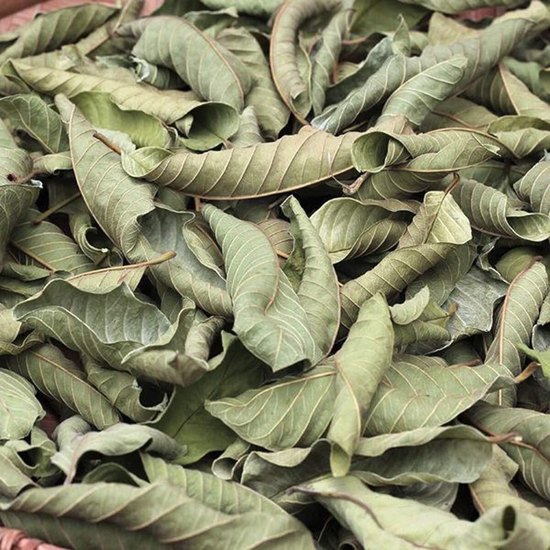 Dried Guava Leaves - Ceylon Herbal Tea & Skin Care (Free shipping) gallery
