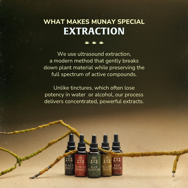 Black Maca Extract | Natural Peruvian Root | Energy & Vitality Boost gallery