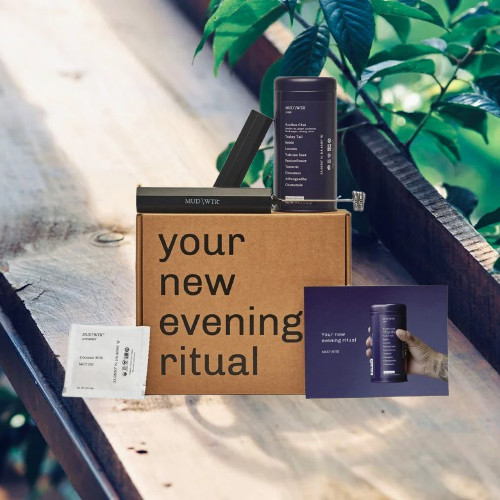 Evening Rest Kit – Organic Mushroom Tea w/ Chamomile & Chai, Vegan, Non-GMO