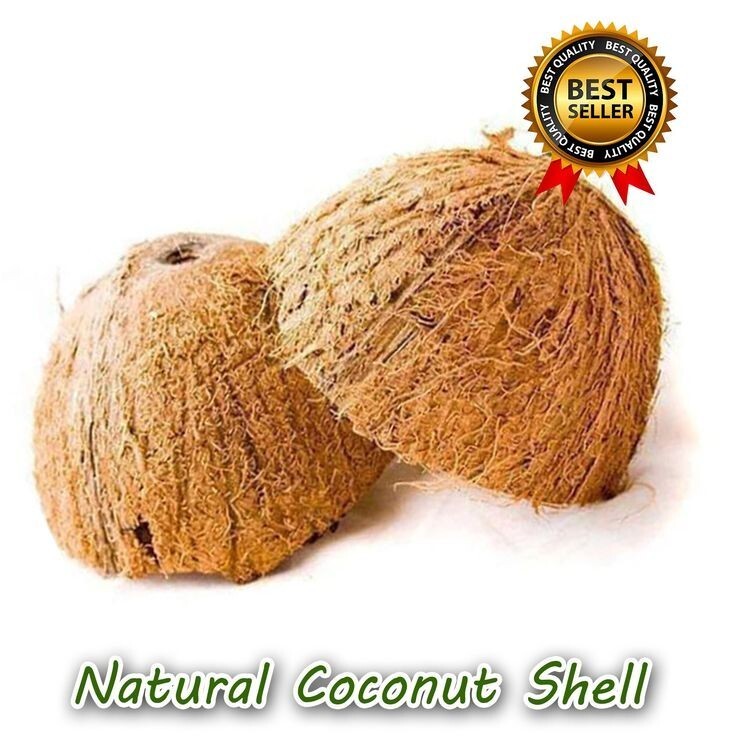Coconut Shell Natural Bowl Ceylon Eco Friendly 100% Halves Organic Handmade