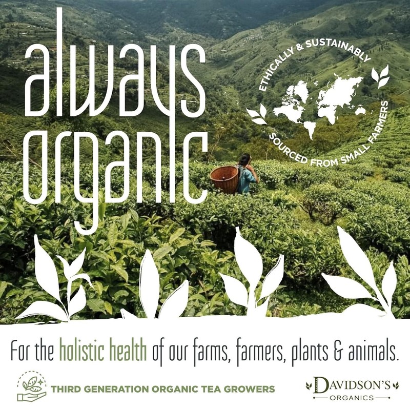 Experience Organic Russian Caravan Tea - 16oz of Smoky Elegance in Every Sip gallery