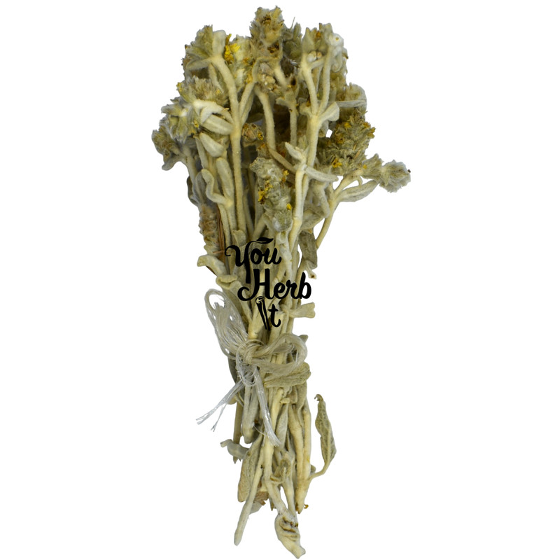 Mountain Tea Evia Whole Loose Greek Herbal Tea 100g-600g – Sideritis Εuboea