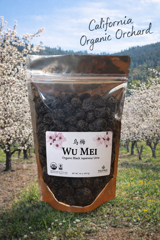 Organic Wu Mei Tea – Naturally Fermented Sour Plum Herbal Tea, California Farm D