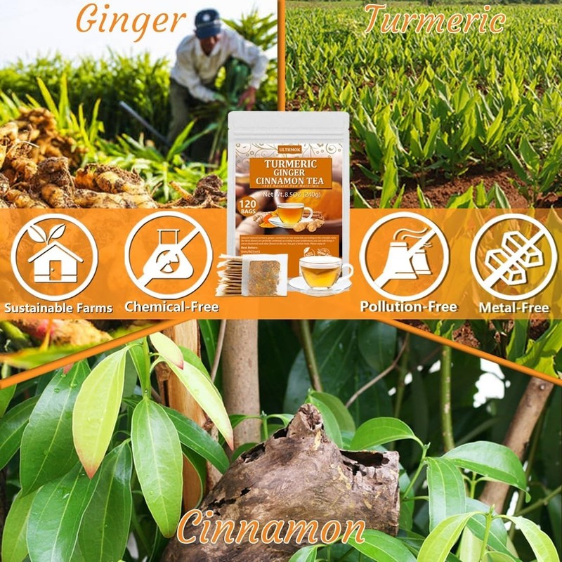 120 Turmeric, Ginger, Cinnamon Blend Tea Bags, 100% Natural & No Additives &... gallery