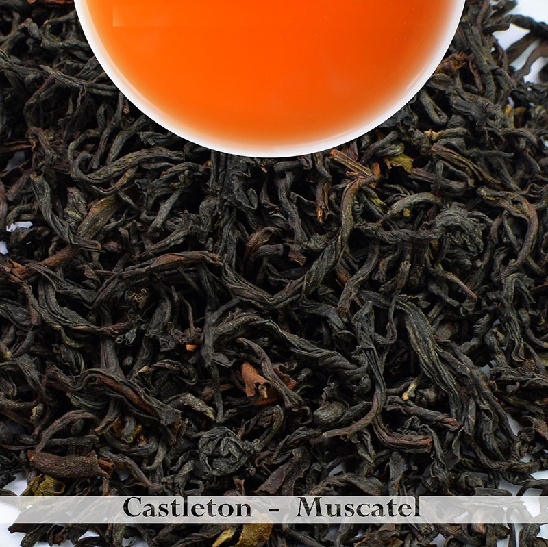 Darjeeling Tea Second Flush Iconic Castleton Estate 2019 Black Loose Leaf Tea