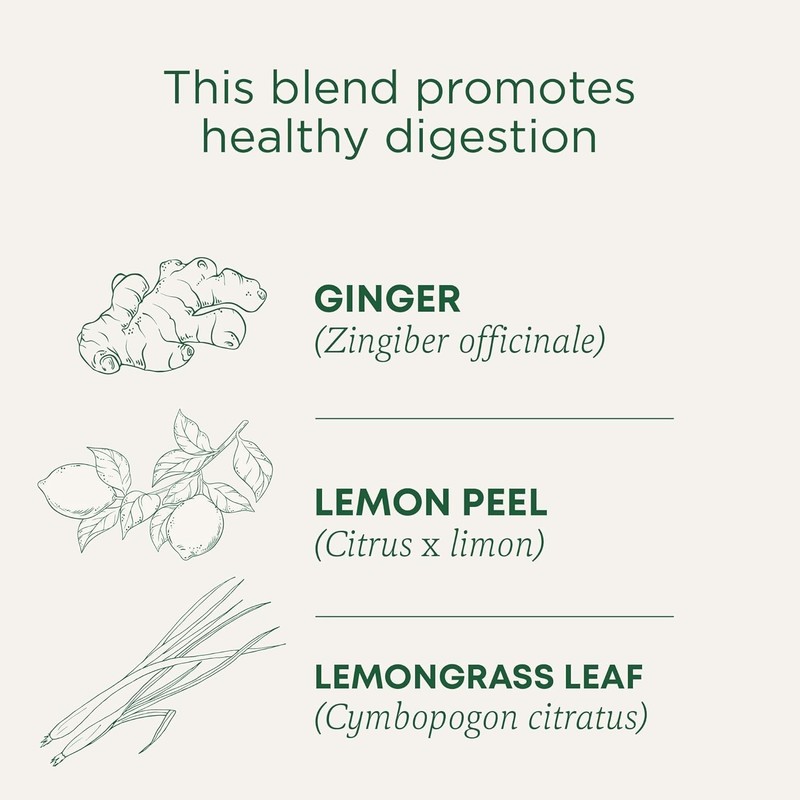 Organic Lemon Ginger Tea - 16 Count, Caffeine-Free Herbal Infusion for Digestion gallery