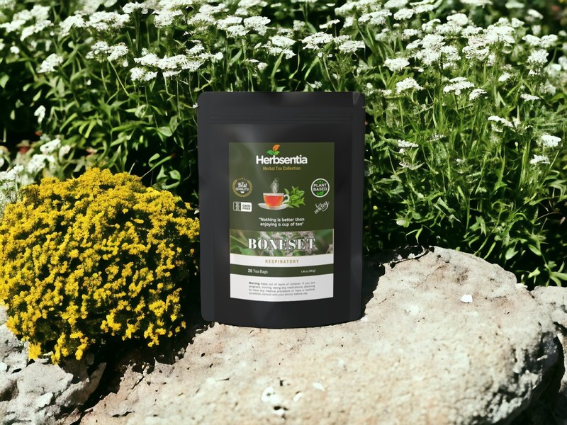 Boneset Tea – Respiratory