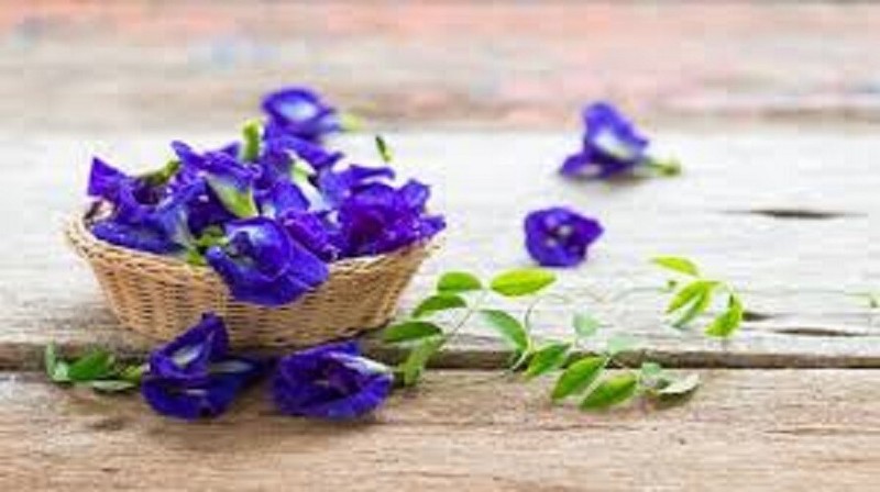 Blue Butterfly Pea Flower Tea loose leaf 100% Natural Organic Thai Herb 50g gallery