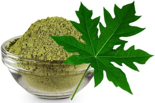 Ceylon Organic Papaya Dried Leaf Powder – Boosts Immunity and Health