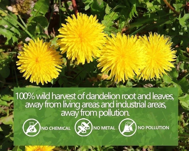 Dandelion Tea 100-Leaf & Root Herbal Tea Bags for Liver & Kidney Health Detox gallery