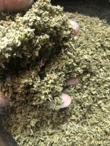 DAMIANA herb tea bulk leaf c/s cut organic tea brew wild crafted WHOLESALE gallery