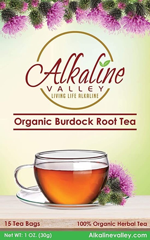 Burdock Root Tea Organic - 45 Unbleached/Chemical-Free Burdock Root Tea Bags gallery