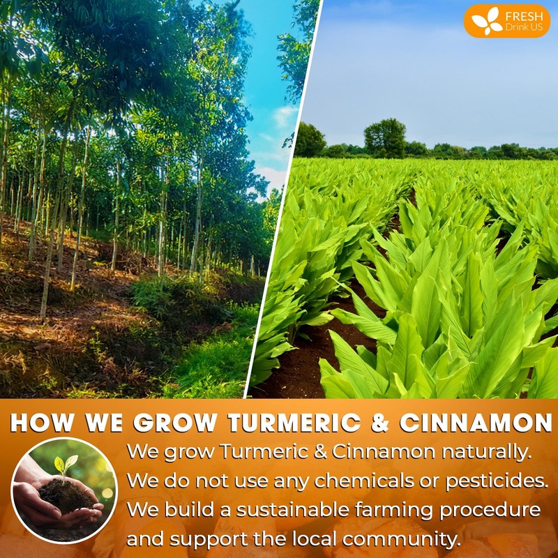 , Premium 75 Turmeric Cinnamon Tea Bags, 100% Natural, Blend of Turmeric, and... gallery