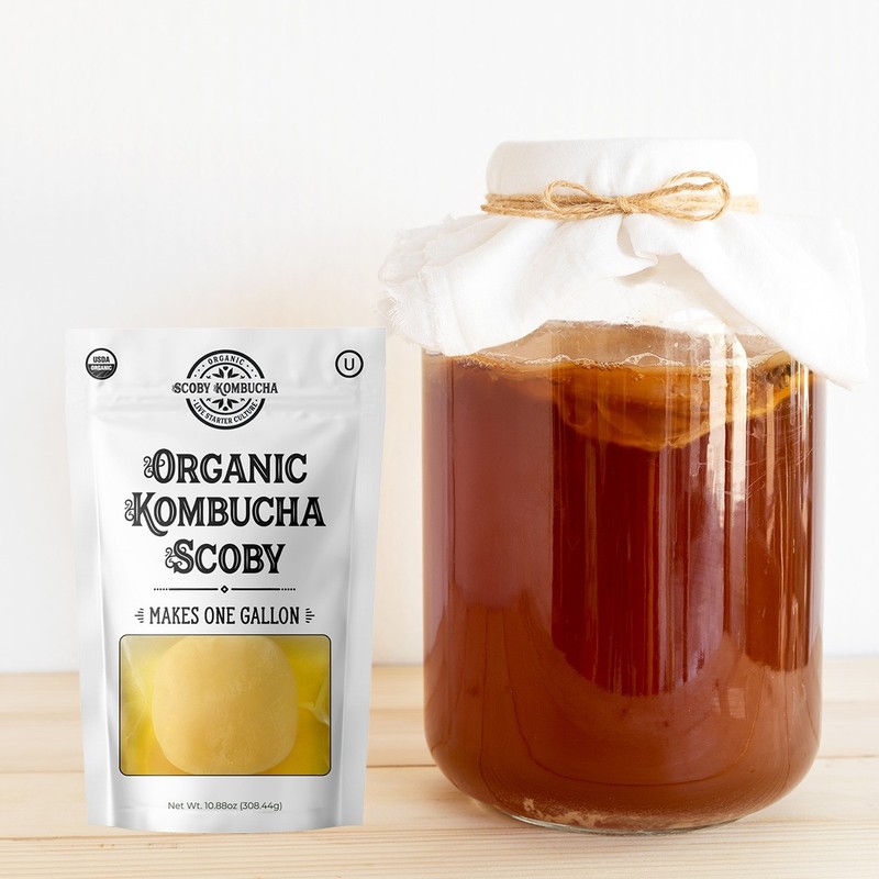 Scoby Kombucha FBA_LEPAZC5747 1 X Organic Kombucha Scoby-Live Culture gallery