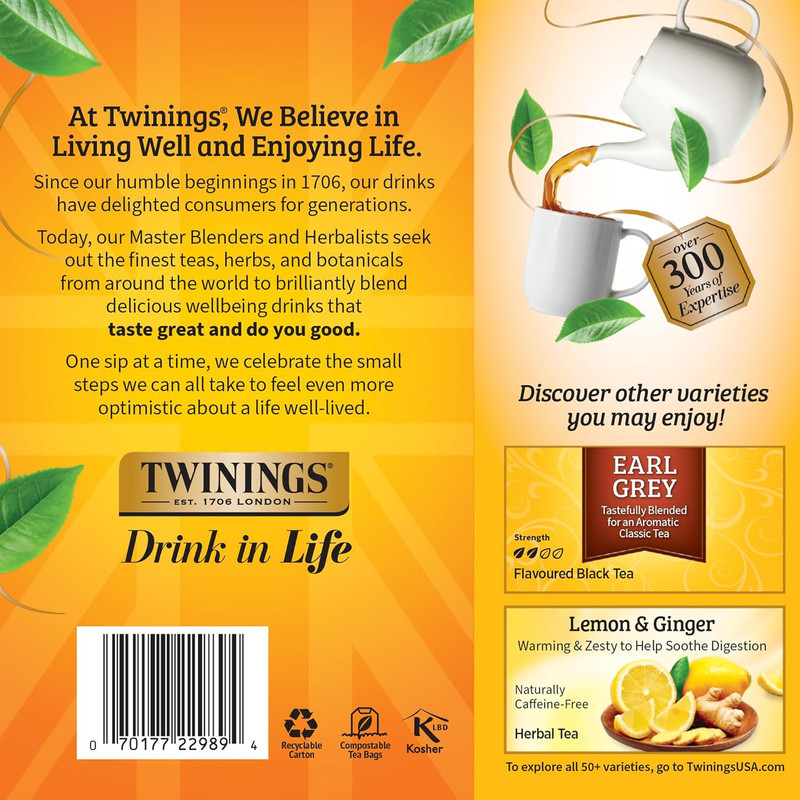 Lady Grey Black Tea Individually Wrapped Bags, 100 Count (Pack of 1), Orange Pee gallery