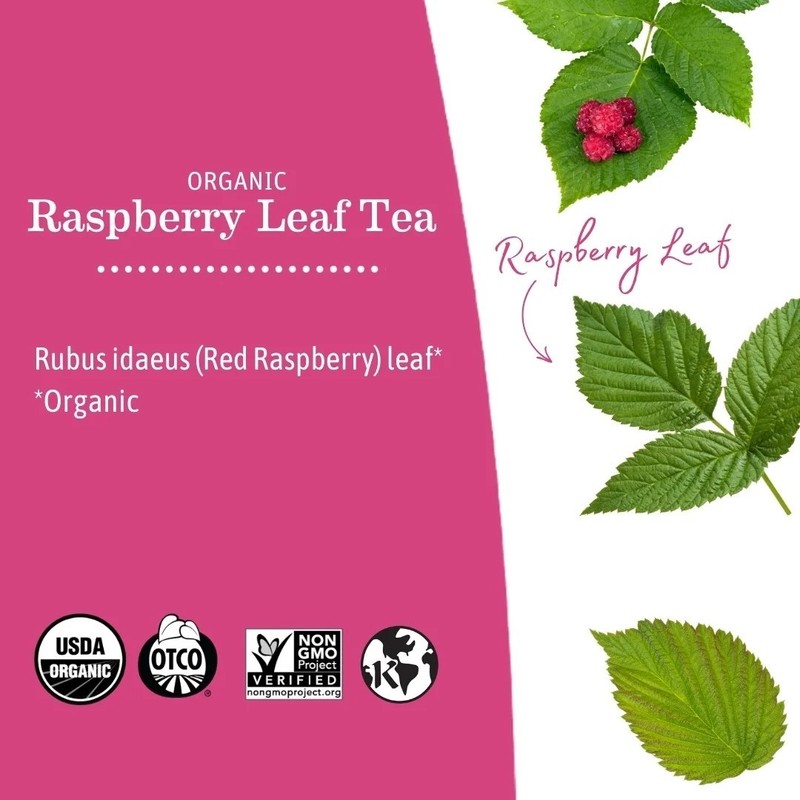 Earth Mama Organic Raspberry Leaf Herbal Tea, Labor Prep Support, 16 Tea Bags. gallery