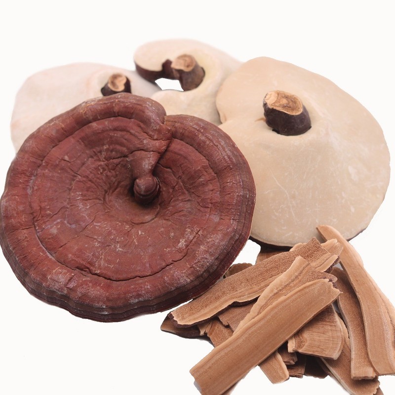 Reishi Mushroom 靈芝 (영지버섯) - Ganoderma lucidum Loose Slices gallery