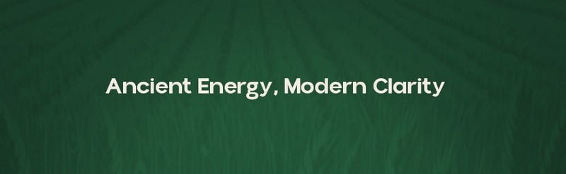 SHILAJIT TEA gallery
