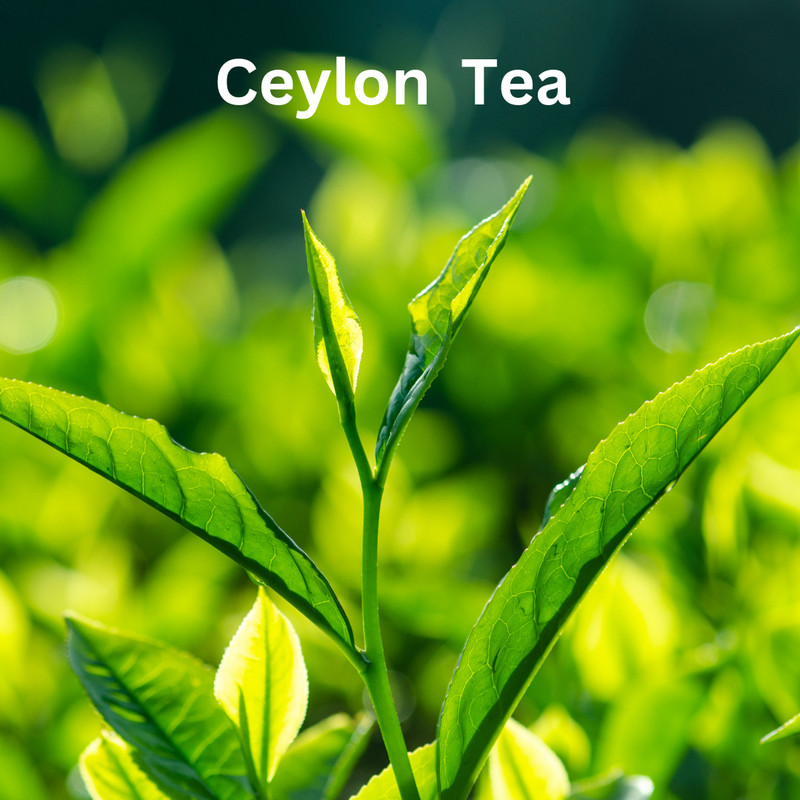 English Breakfast Tea. Robust Single Origin Premium Ceylon Black Tea- Tea bags gallery