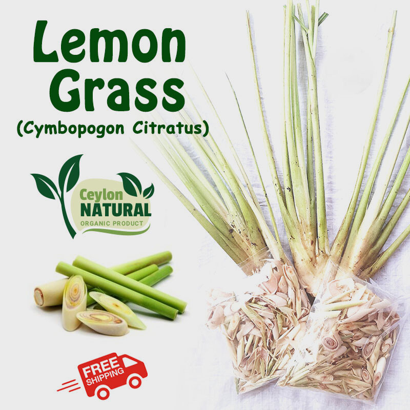 Lemon Grass dried Organic Herbal Tea Cymbopogon Citratus Cooking Free Shipping