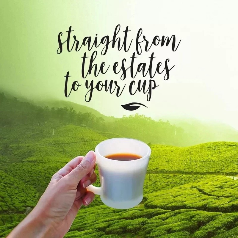 The Tea Shelf Dancing Moonlight White Tea -30gm gallery