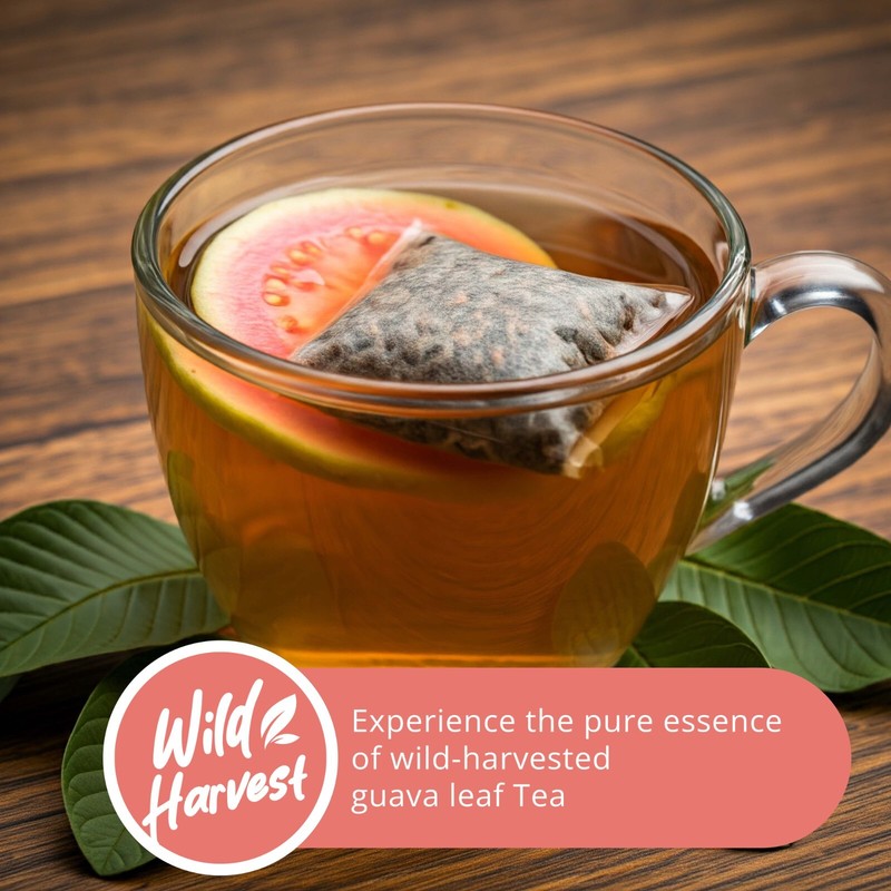150 Organic Guava Leaf Tea Bags, Pure Guava Leaves Tea, Te de Hojas De Guayaba gallery