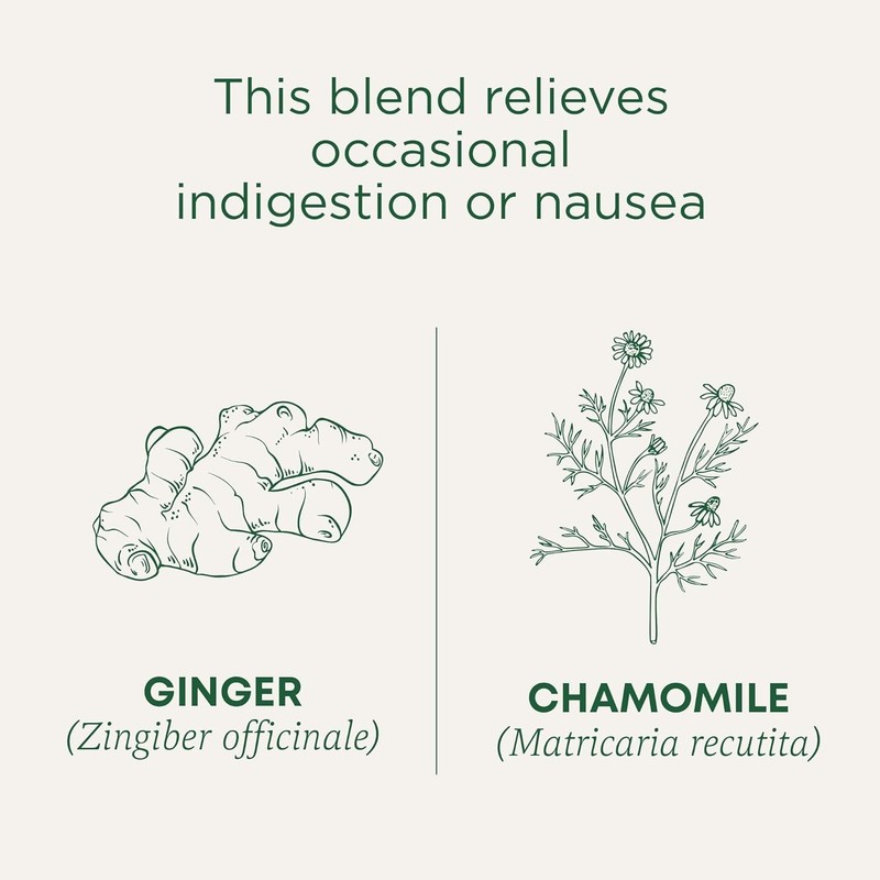 Natural Digestive Support - Organic Ginger & Chamomile Tea - 96 Count Pack of 6 gallery