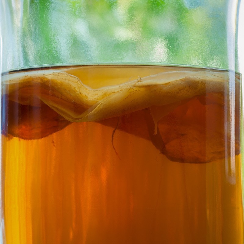 Scoby Kombucha FBA_LEPAZC5747 1 X Organic Kombucha Scoby-Live Culture gallery