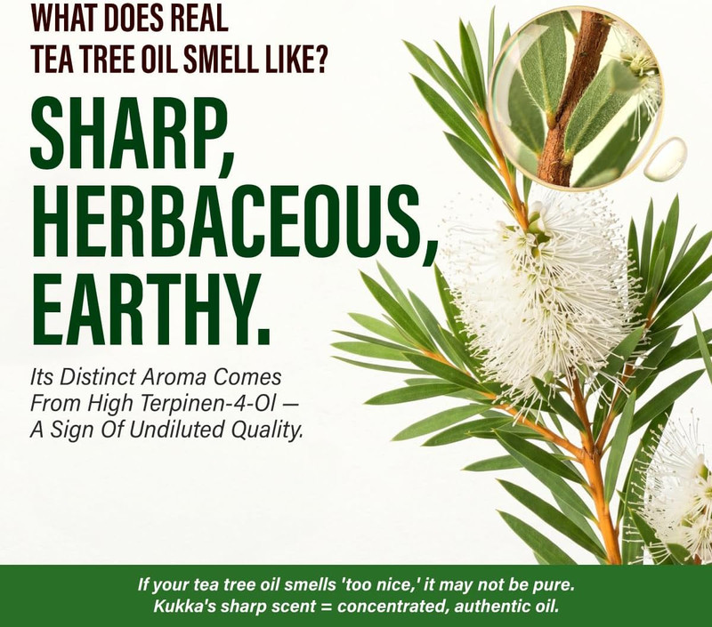100% Pure Tea Tree Oil - 4 Fl Oz Tea Tree Essential Oil for Hair, Skin, Diffuser gallery