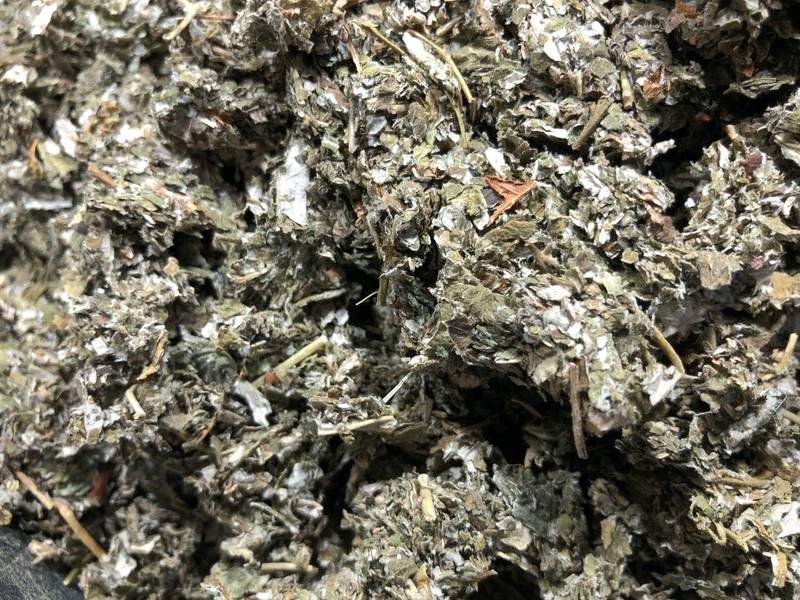Rubus Idaeus RED Raspberry LEAF Herb Organic Natural Bulk Botanical - 14 oz gallery