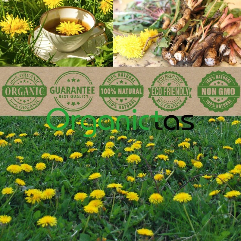 Organic DANDELION ROOT Tea Premium Quality Dried Cut Taraxacum Officinalis 100g gallery