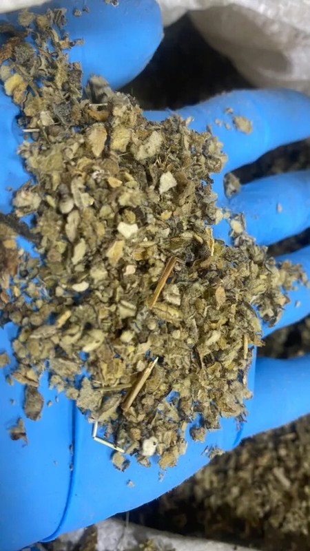 Mullein Leaf wild crafted Lung cut herb - oz lb 1 2 4 5 8 Pound Ounce gallery