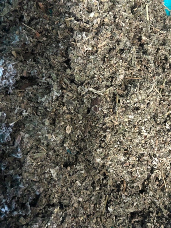 MULLEIN + RASPBERRY smokin-hot deal herb blend organic leaf tea mix -ounce POUND