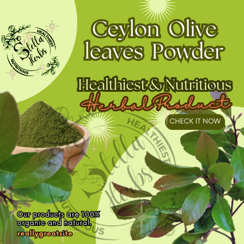 100% Organic Ceylon Olive Herbal Tea Powder