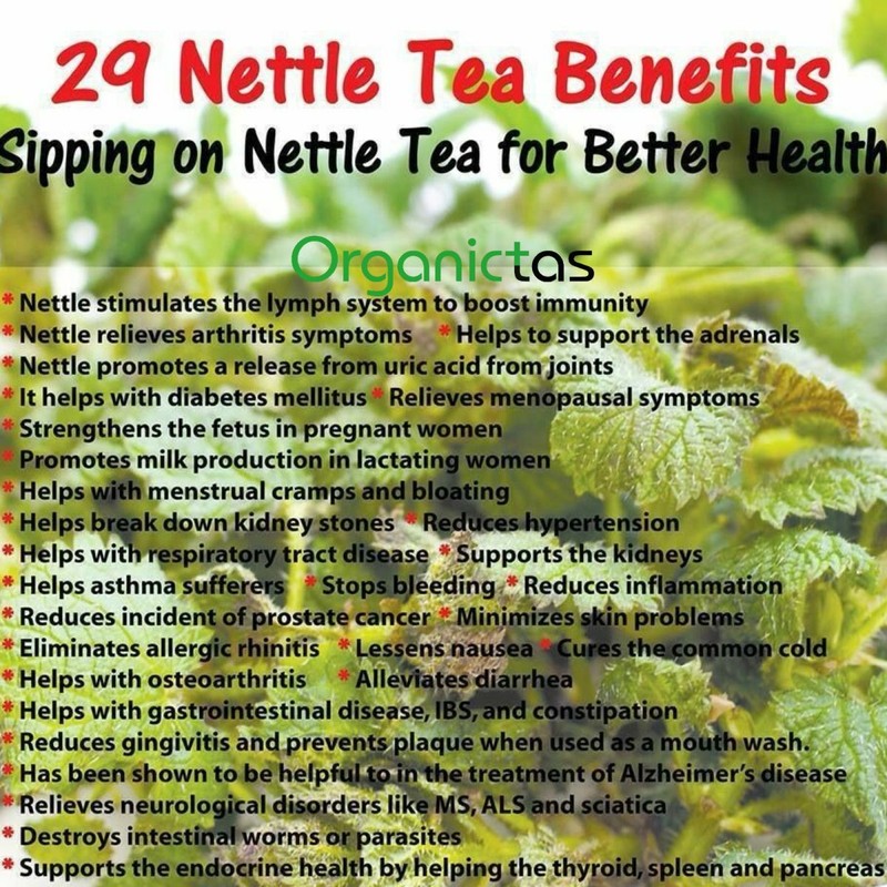 Organic NETTLE LEAF Herbal Tea Dried Cut Urtica Dioica 100g Premium Quality BIO gallery