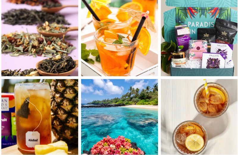 Hawaiian Islands Tropical Tea - 20 Teabags - All Natural gallery